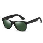 2960 Polarized Wayfarer Sunglasses_Black/G15 Green